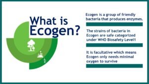 Ecogen for Solid Waste1